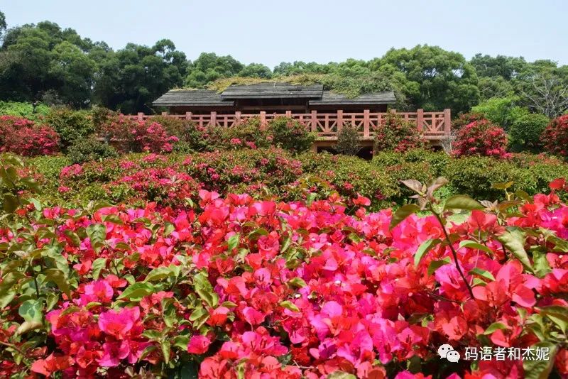 厦门有什么好玩的地方景点推荐_安溪景点有哪些地方好玩_厦门哪个地方好玩