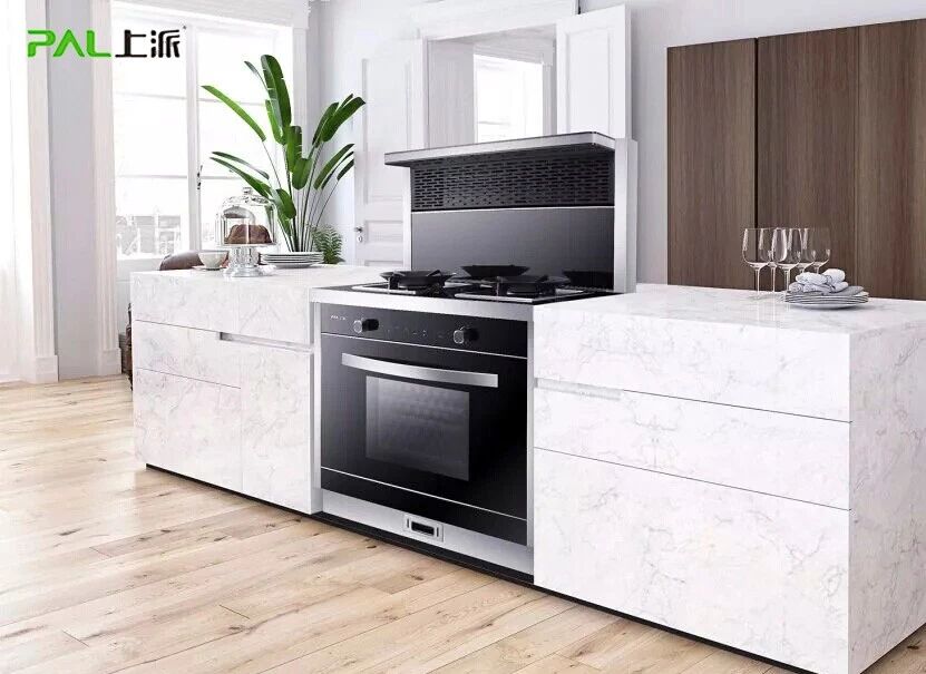 上派集成灶图片 现代风装修效果图