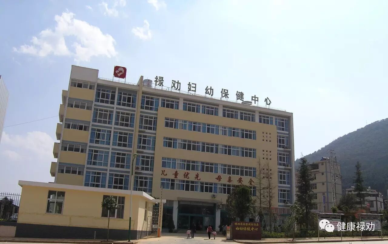 禄劝县妇幼保健计划生育服务中心2017年公开招聘非编制工作人员笔试成绩及进入面试人选公示-怀孕期