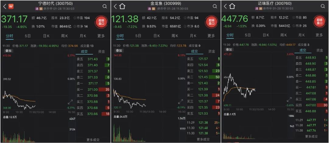 33秒砸出天地板油中茅台大跌7药中茅台四连阴创业板三龙头市值蒸发