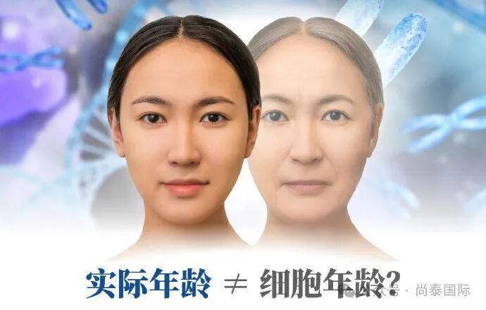 泰国长寿中心的健康管理，是物有所值还是智商税？听听泰国BWC医院专家怎么说