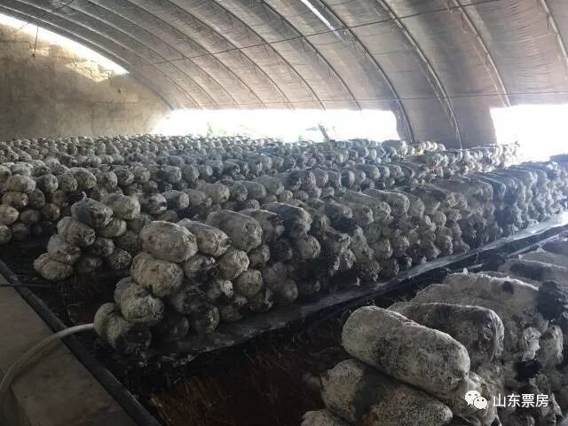 济南号令天下_123号令124号令_济南户外天下