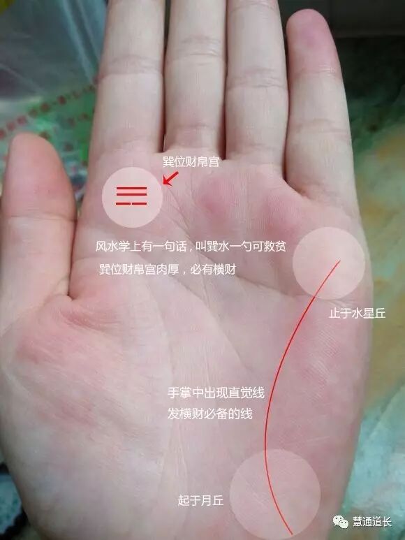 直觉线是起于手掌底部月丘,止于小指下方水星丘的一