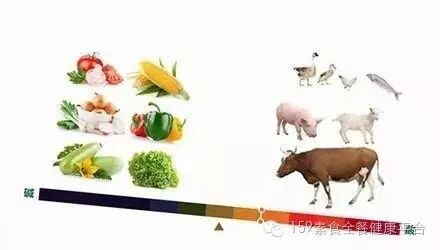 洋葱是酸性还是碱性-怎么知道自己的体质是酸性还是碱性