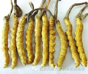 这些名贵中药，你知道吗?