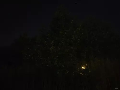 我黑的漂亮