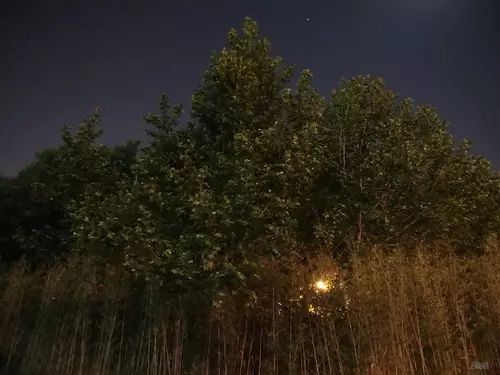 此时的成片是你能在国产手机中能