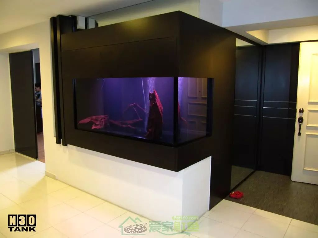 为建鱼缸把墙砸,如此折腾为哪般