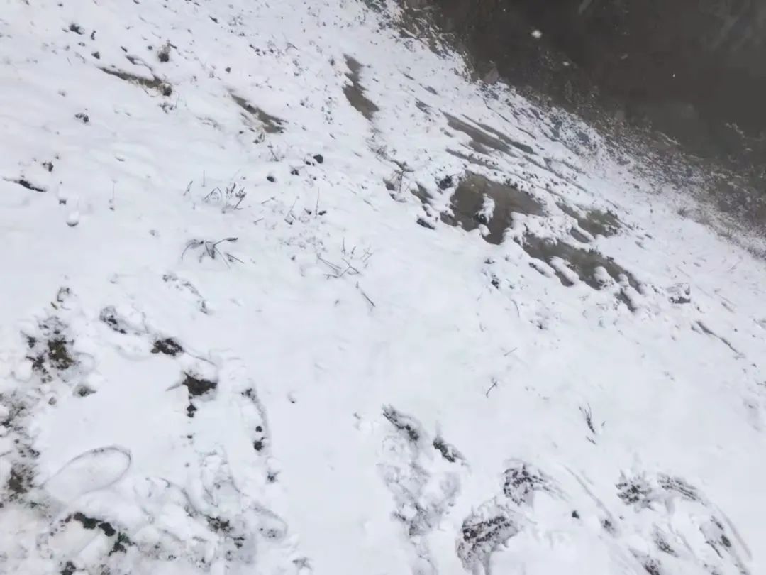 雪雪雪雪雪雪雪雪雪陕西预警持续
