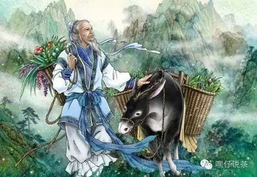 浅析中医视角下的安化黑茶