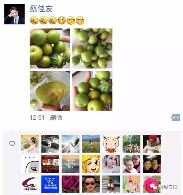有几个微信好友还时说, 梯小编是今年第一个在朋友圈晒吃李子的人!