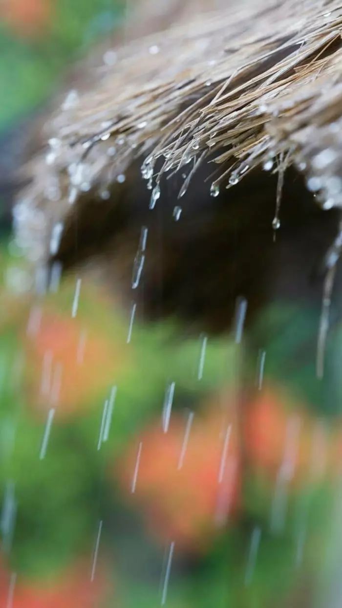 赏读 唐诗宋词里最美中国雨