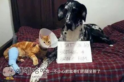 【掌上萍乡】笑多了会怀孕—亲爱的,安静点好吗?-怀孕期