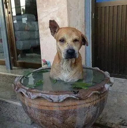 【掌上萍乡】笑多了会怀孕—亲爱的,安静点好吗?-怀孕期