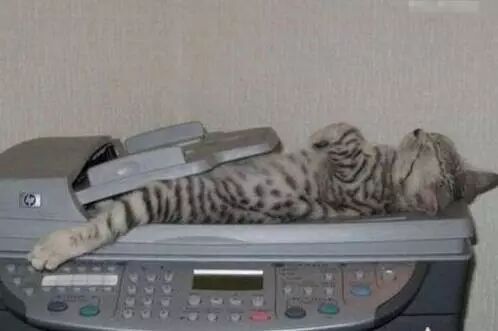 【掌上萍乡】笑多了会怀孕—这衣服咋那么不结实呢?!-怀孕期