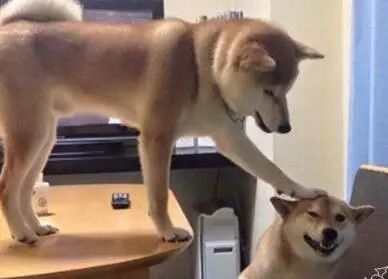 【掌上萍乡】笑多了会怀孕—妹纸你这样容易招仇恨啊!-怀孕期