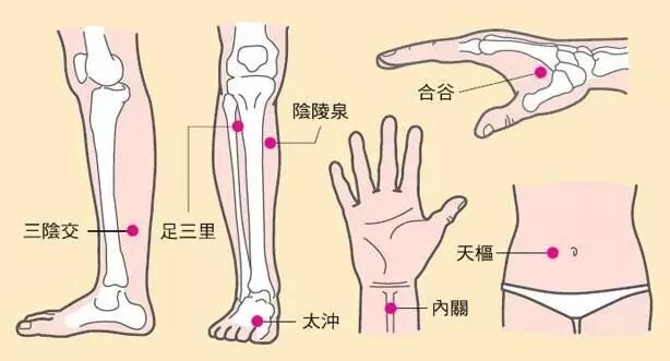 掌握这些美容(合谷，太冲，三阴交，关元，气海，血海，足三里)，天天面如桃花