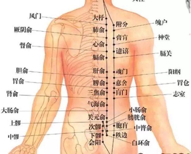 女人的屁股要常拍