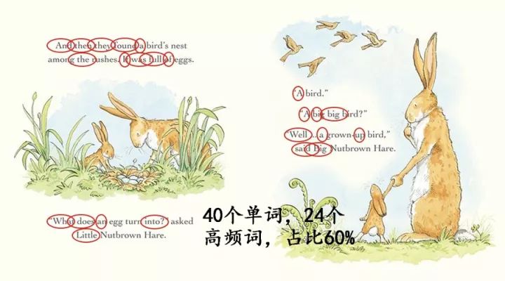 开抢丨体检套餐 台湾医美原液 高频词课程 更多超值好