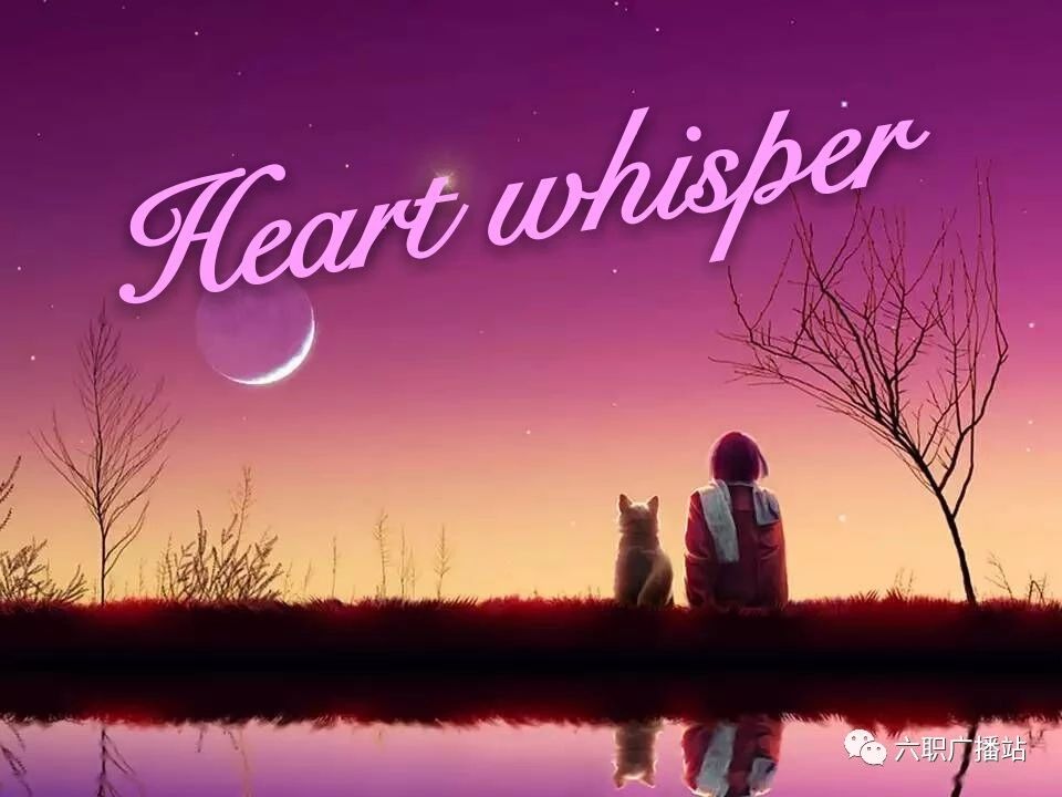 周三下午《Heart whisper》