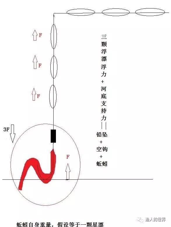 钓鱼技巧:传统钓及七星漂的用法