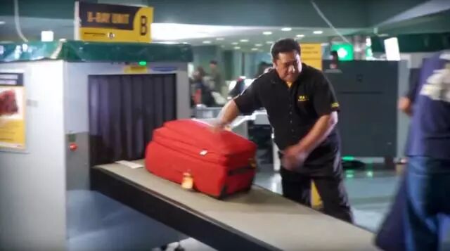 新西兰最全入境指南