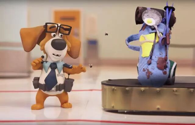 新西兰最全入境指南