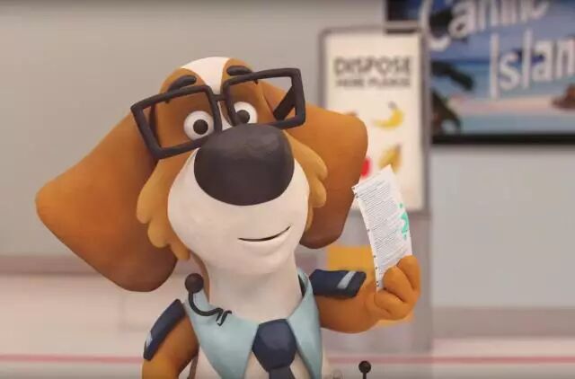 新西兰最全入境指南