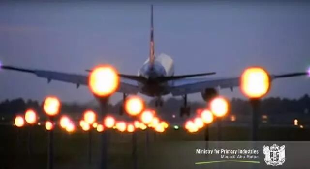 新西兰最全入境指南