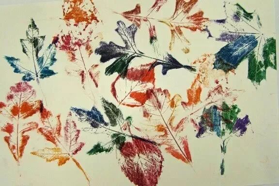 小朋友的乐园 | 新西兰幼儿园的欢脱日常，“放养”也安全