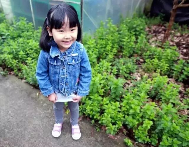 小朋友的乐园 | 新西兰幼儿园的欢脱日常，“放养”也安全