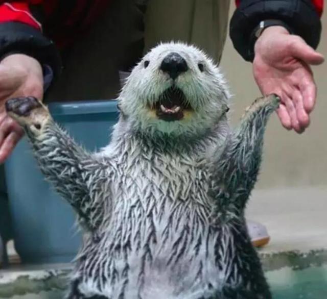 前程零烦恼：新西兰热门专业大盘点