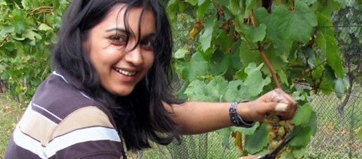 前程零烦恼：新西兰热门专业大盘点