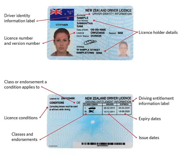 教你如何在新西兰“开车”