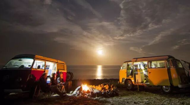 教你如何在新西兰“开车”