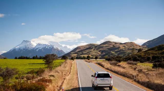 教你如何在新西兰“开车”