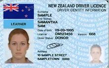 教你如何在新西兰“开车”