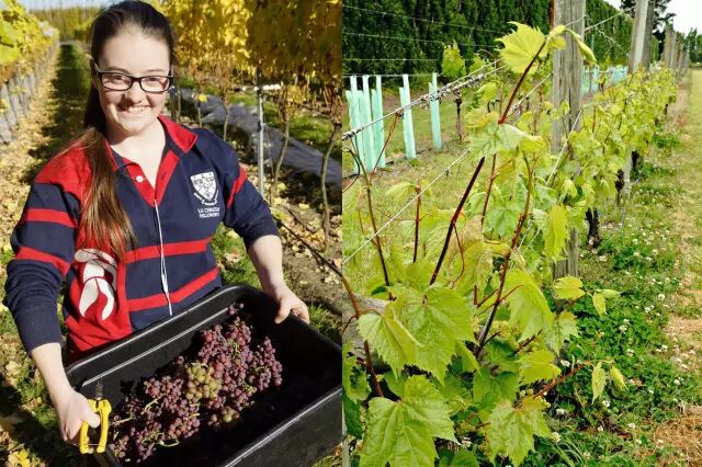 奔前程须知：选专业重要还是选学校重要？（附“国宝级”专业）