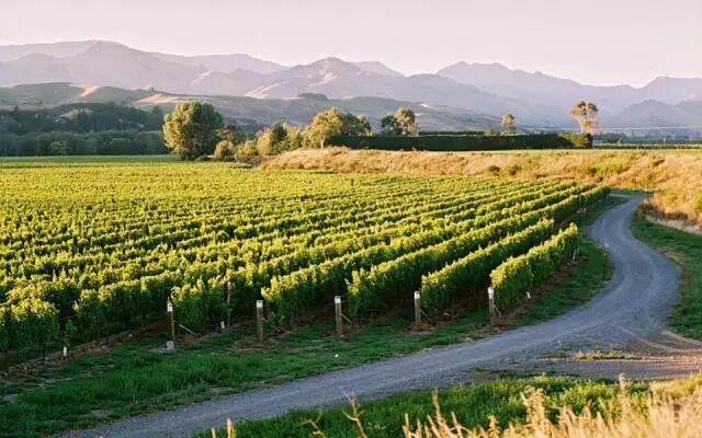 奔前程须知：选专业重要还是选学校重要？（附“国宝级”专业）