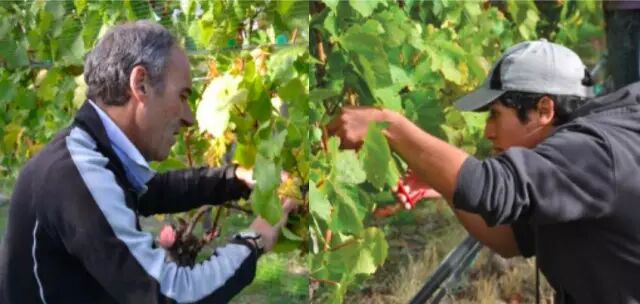 奔前程须知：选专业重要还是选学校重要？（附“国宝级”专业）