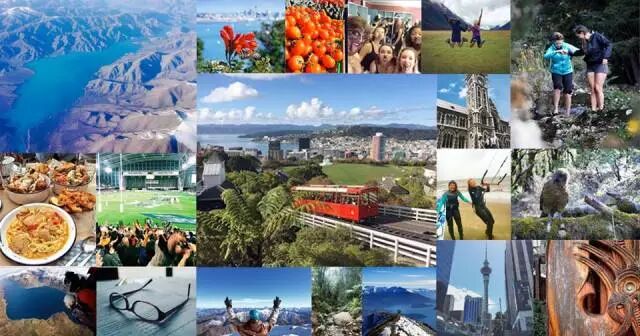 史上最强【留新】指南：留学+留下，你要的信息都在这里！