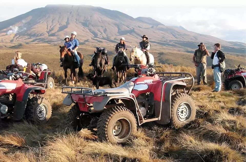 史上最强【留新】指南：留学+留下，你要的信息都在这里！