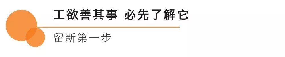 史上最强【留新】指南：留学+留下，你要的信息都在这里！