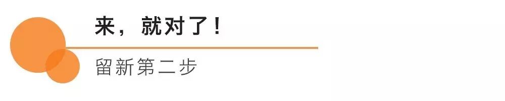 史上最强【留新】指南：留学+留下，你要的信息都在这里！