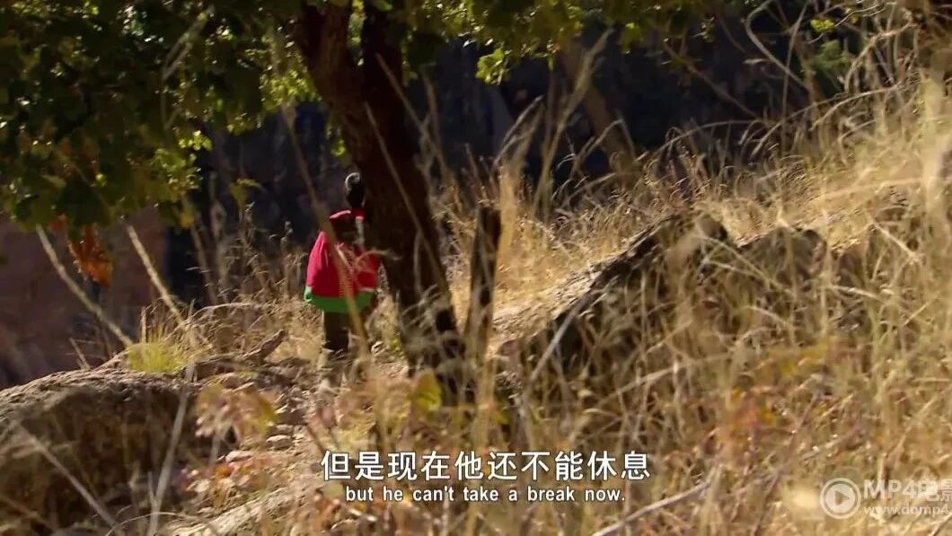 纪录片：翻山涉水求学路 第一季（5）