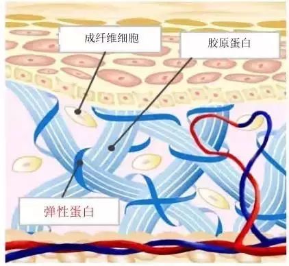 戛纳红毯宫心计,她把胸摔出“海啸”的效果!