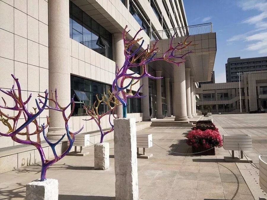 烏魯木齊一中(圖4)