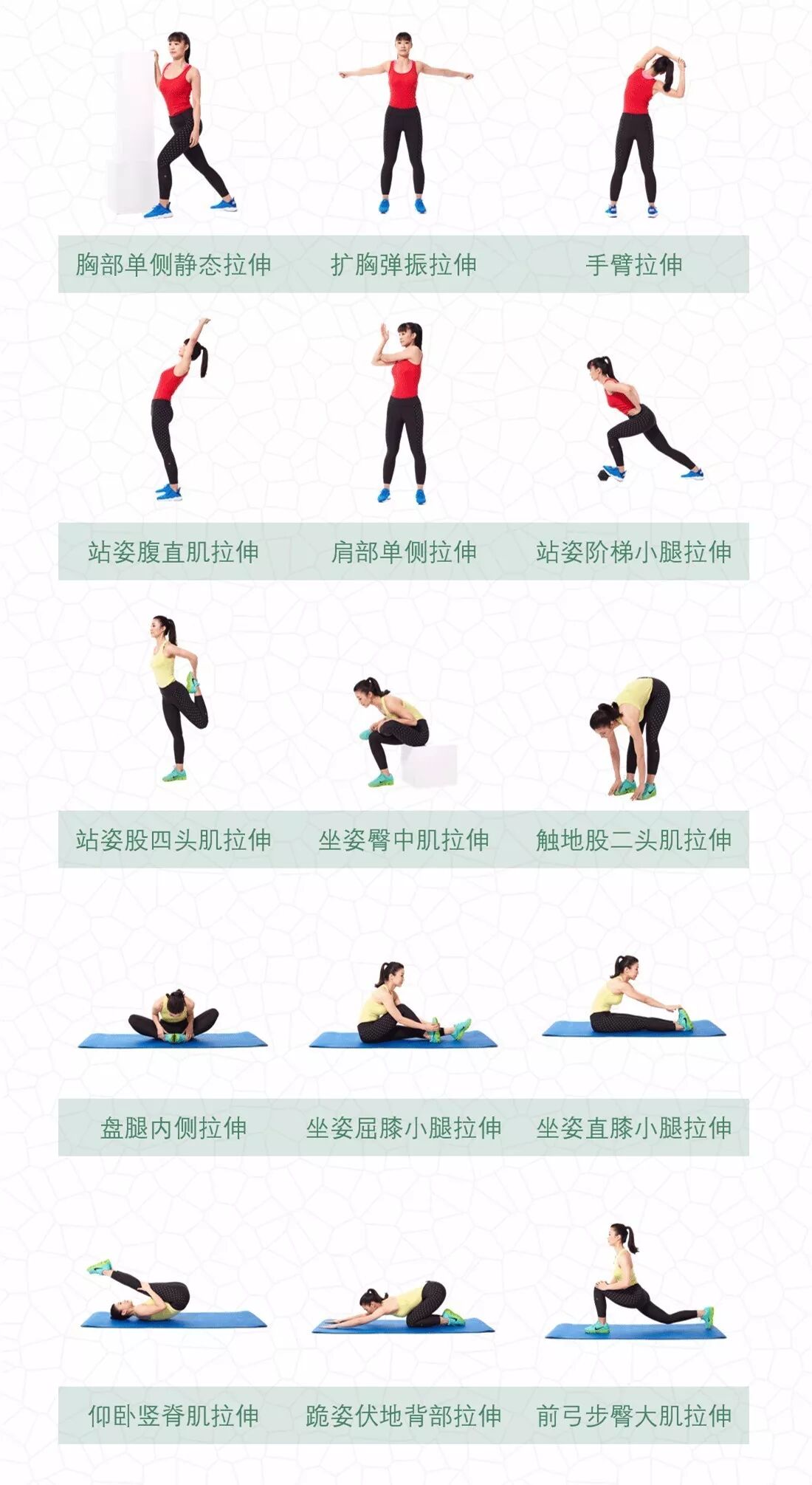 拉伸,作为健身训练的重要一环,提升你身体的柔韧性,降低运动中受伤