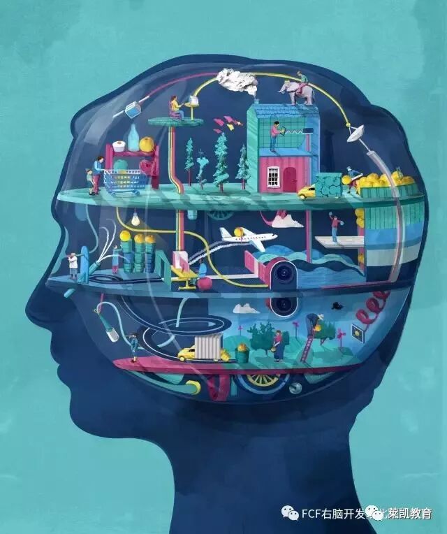 右脑教育是什么？