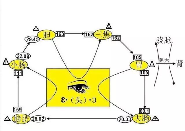 《黄帝内经帝/师论白天卫气的循环方式》(此文未见公开刊行,由金教授